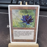 Black Lotus